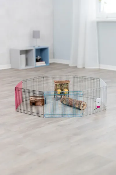 Indoor Freilaufgehege